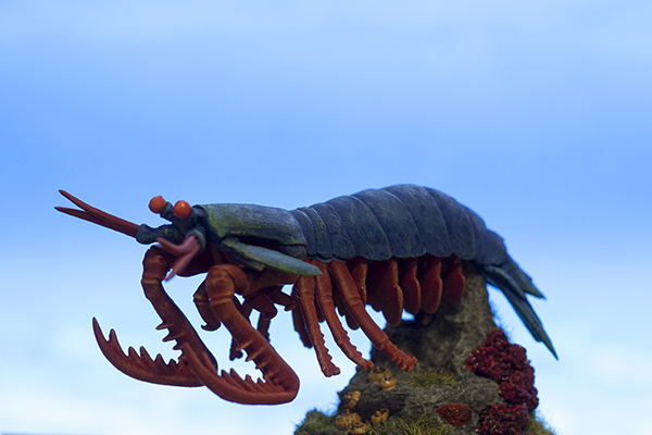 anti-matters games giant mantis shrimp